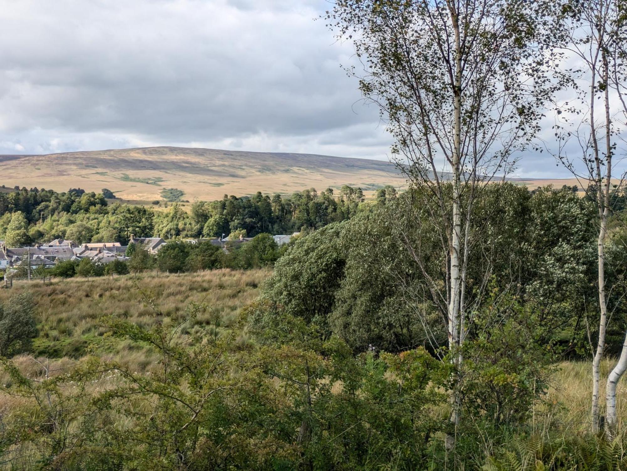 Newcastleton Rustic Lodge Retreat At Riverview Holiday Park מראה חיצוני תמונה